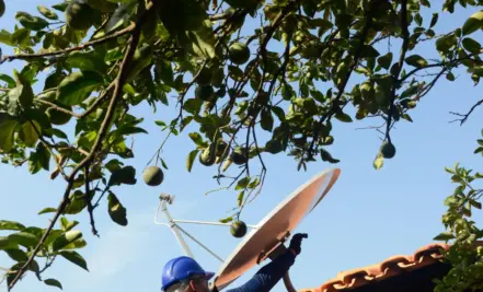 Projetos da EAF geram impacto direto em comunidades e políticas públicas