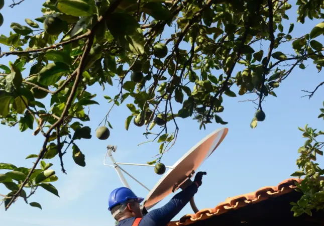 Projetos da EAF geram impacto direto em comunidades e políticas públicas