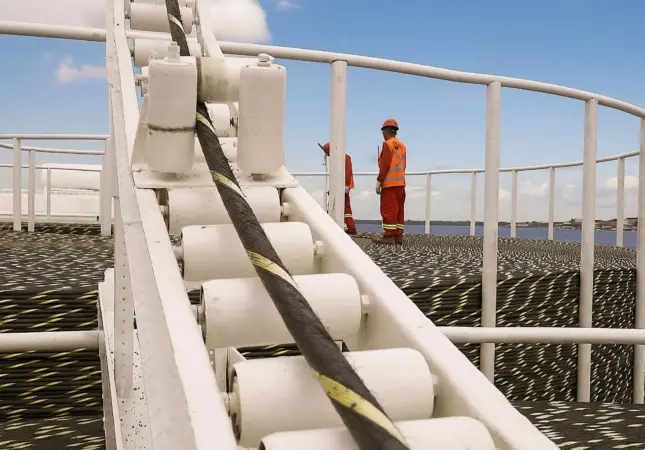 Tecnologia, dados e gestão: como a EAF impulsiona decisões mais eficientes